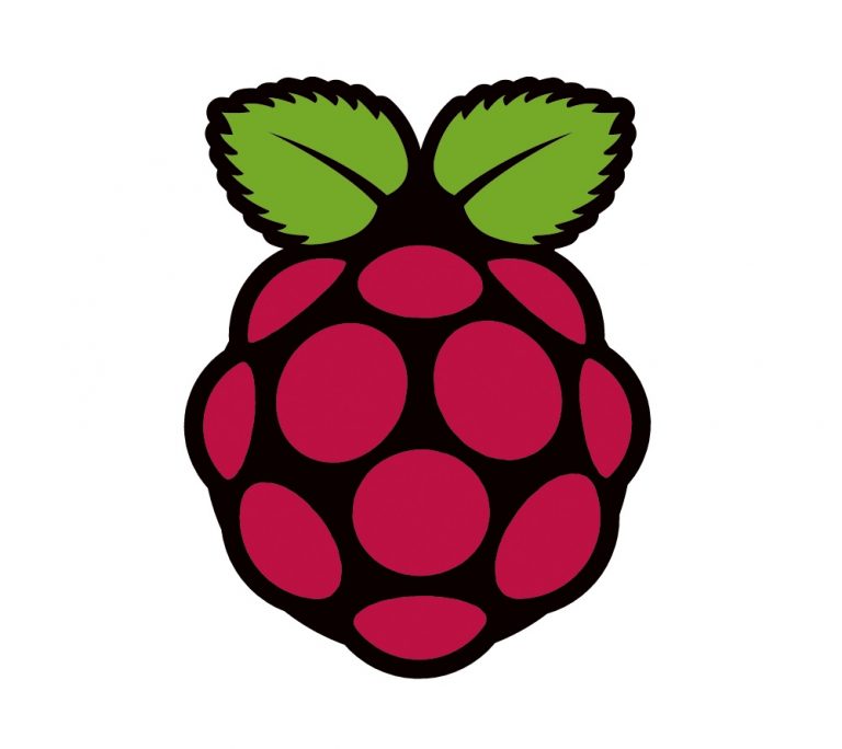 Raspberry pi logo