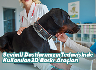 Sevimli Dostlarımızın Tedavisinde Kullanılan 3D Baskı Araçları
