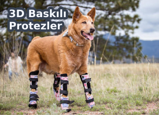 Hayvanların Hayatlarına Dokunan 3D Baskılı Protezler