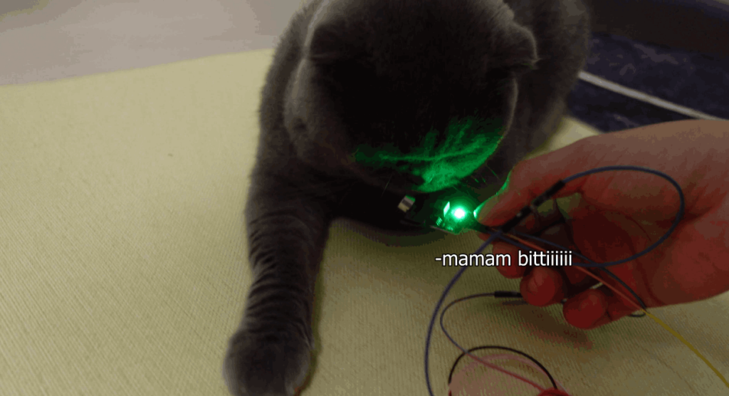 Kedi "miyavlarını" Tercüme Eden Cihaz